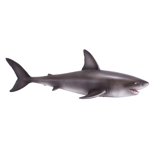 Great White Shark | 381012