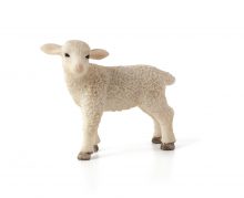 Lamb Standing