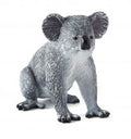 Koala Bear