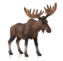 European Elk / Moose | 387023