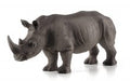 White Rhinoceros