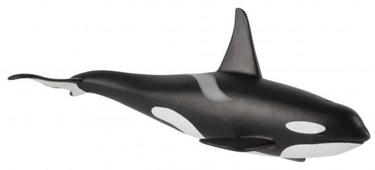 Orca Male | 387114