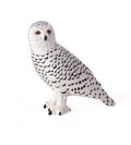 Snowy Owl