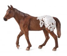 Appaloosa Stallion Chestnut