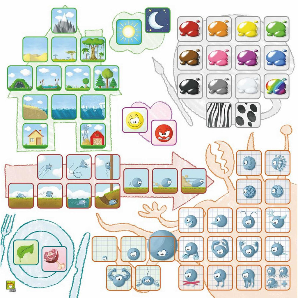 CONCEPT KIDS: ANIMALS