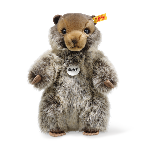084133 
Burri marmot